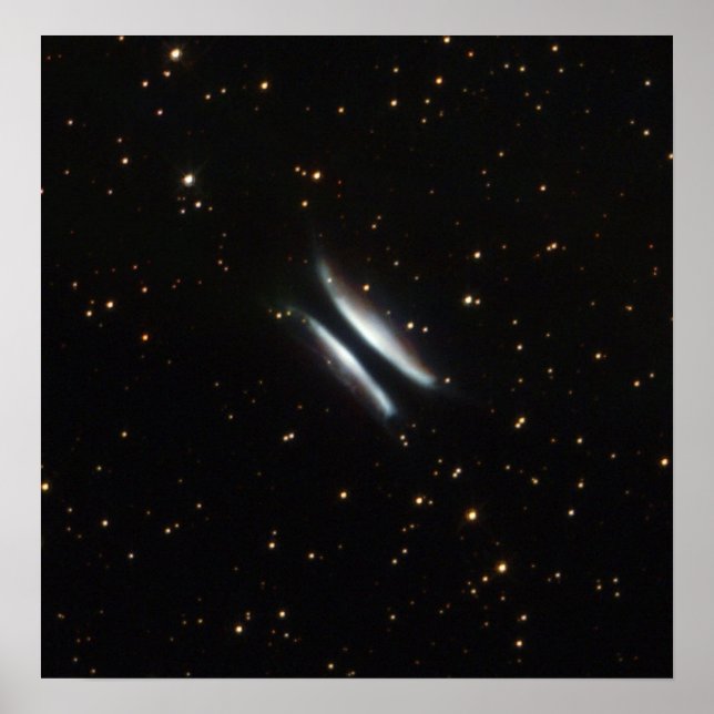 NASA - Gomez's Hamburger Poster (Front)