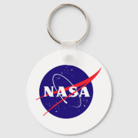 NASA Meatball Logo