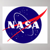 NASA Meatball Logo