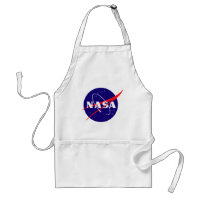 NASA Meatball Logo