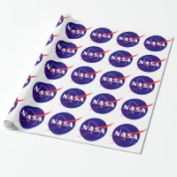 NASA Meatball Logo