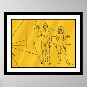 NASA Pioneer 10 Space Probe Gold Plaque Poster