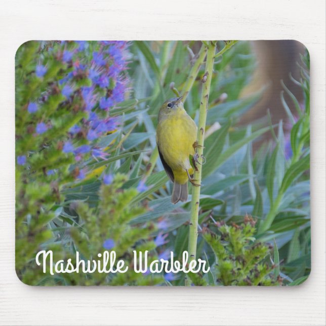 Nashville Warbler Mouse Pad (Front)