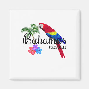 Nassau Bahamas Tropical Destination Magnet