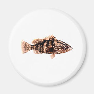 Nassau Grouper Magnet