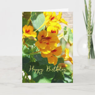 Nasturtium Birthday Card