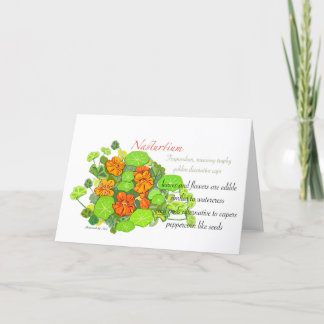 Nasturtium Blank Card
