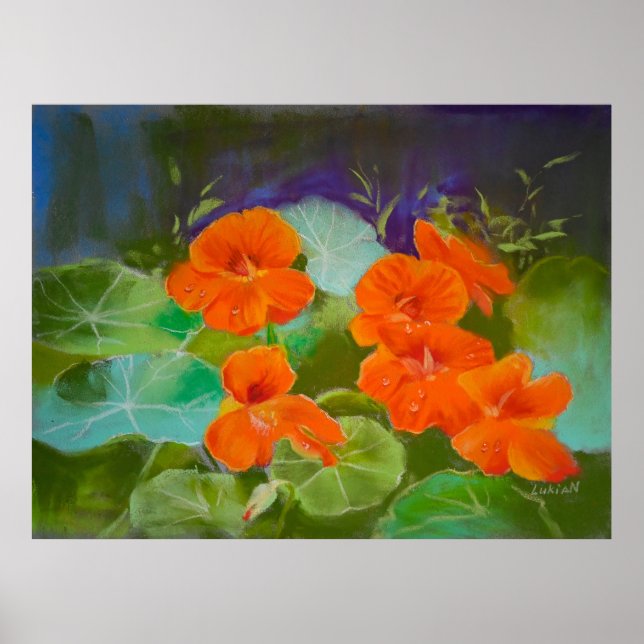 Nasturtium Bloom - Botanical Pastel Poster (Front)