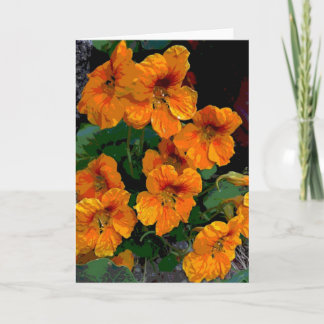 Nasturtium Card