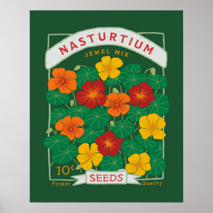 Nasturtium Flower Seed Packet (Green)  Poster