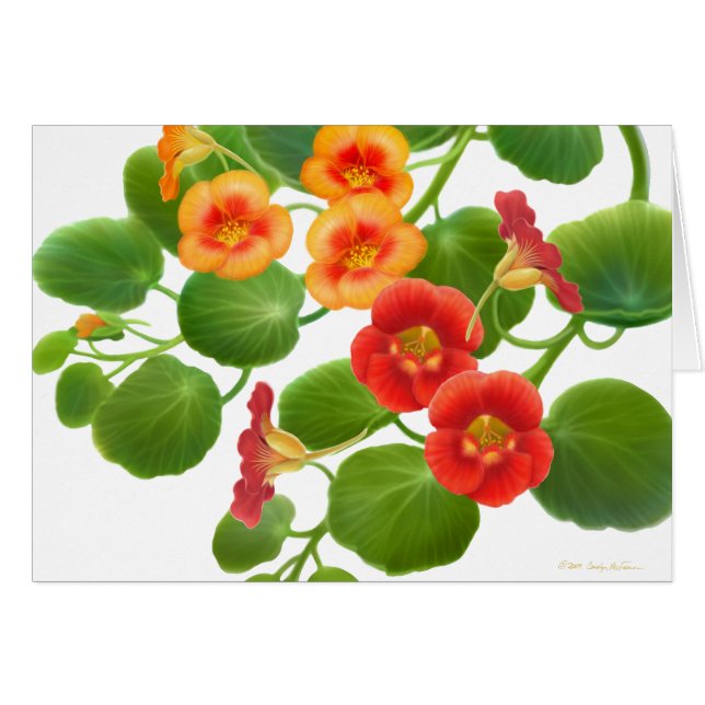 Nasturtium Garden Vines Card (Front Horizontal)