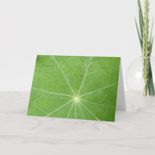 Nasturtium Leaf Greeting Card (Front)