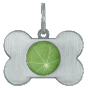 Nasturtium Leaf Pet Tag