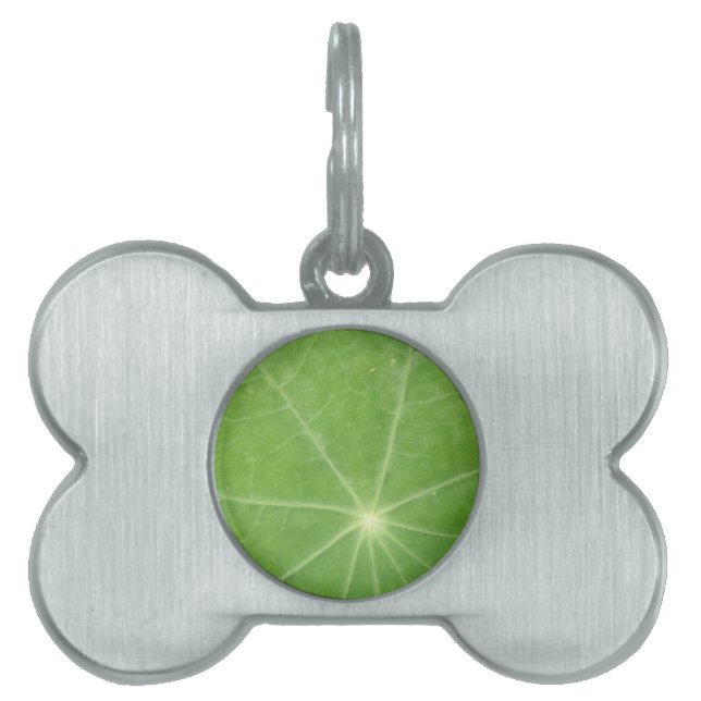 Nasturtium Leaf Pet Tag (Front)