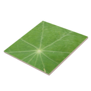 Nasturtium Leaf Tile