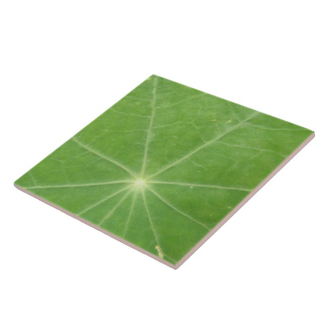 Nasturtium Leaf Tile (Side)