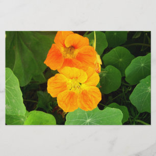 Nasturtium Stationery