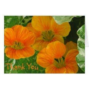 Nasturtium Thank You Card