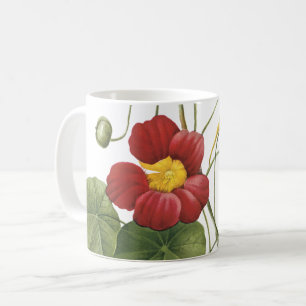nasturtium(Tropaeolum majus) by Redouté Coffee Mug