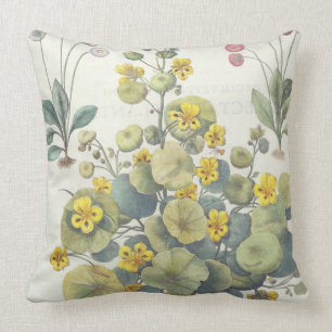 Nasturtiums and Daisies: 1.Nasturtium Indicum; 2.B Cushion