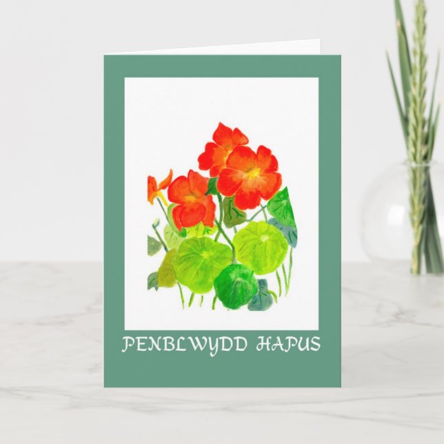 Nasturtiums Birthday Card: Welsh Greeting Card (Front)