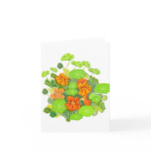 Nasturtiums Blank Notecard