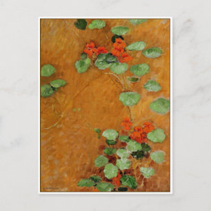 Nasturtiums by Gustave Caillebotte Postcard