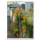 Nasturtiums on a Wall, England