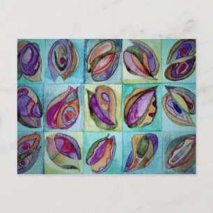 natal shells 3 postcard