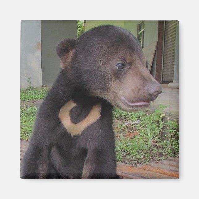 NATALIE Magnet (Front)