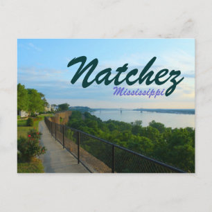 Natchez Mississippi River Bluffs Great Flood 2011 Postcard