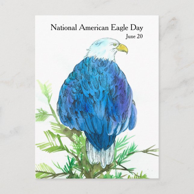 National American Eagle Day June 20 Wildlife Postcard (Front)