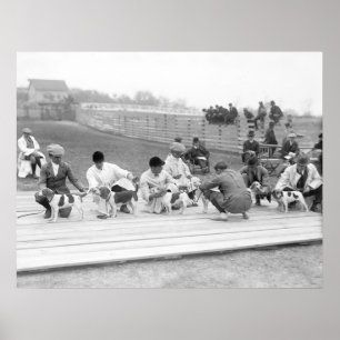 National Beagle Club of America, 1914 Poster