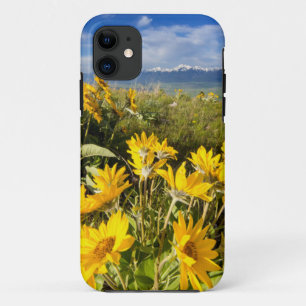 National Bison Range iPhone 11 Case