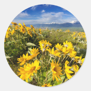 National Bison Range Classic Round Sticker