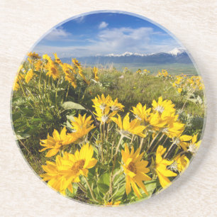 National Bison Range Coaster