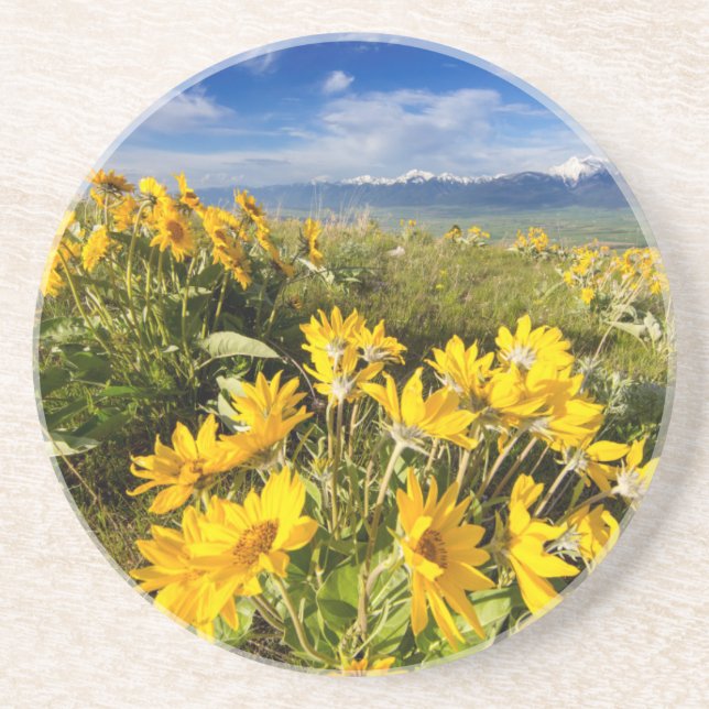 National Bison Range Coaster (Front)