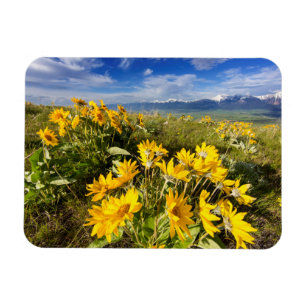 National Bison Range Magnet