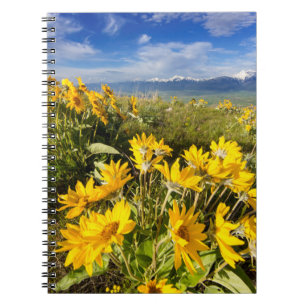 National Bison Range Notebook