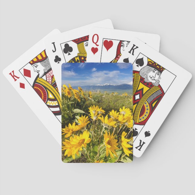National Bison Range Playing Cards (Back)