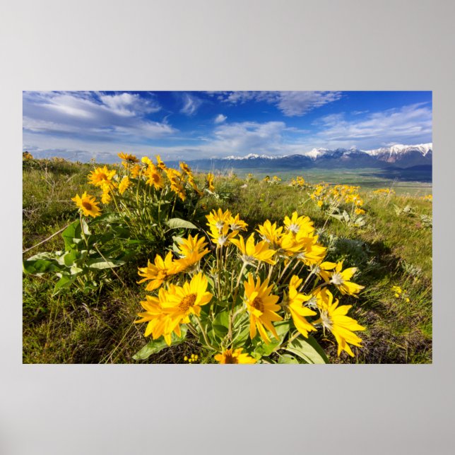 National Bison Range Poster (Front)