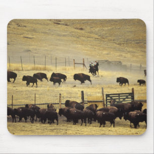 National Bison Range Roundup in Montana Mouse Pad