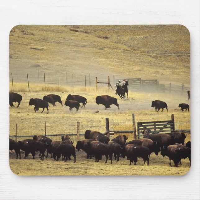 National Bison Range Roundup in Montana Mouse Pad (Front)