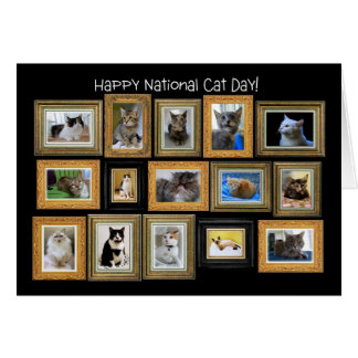 National Cat Day, Cat Portrait Gallery Card