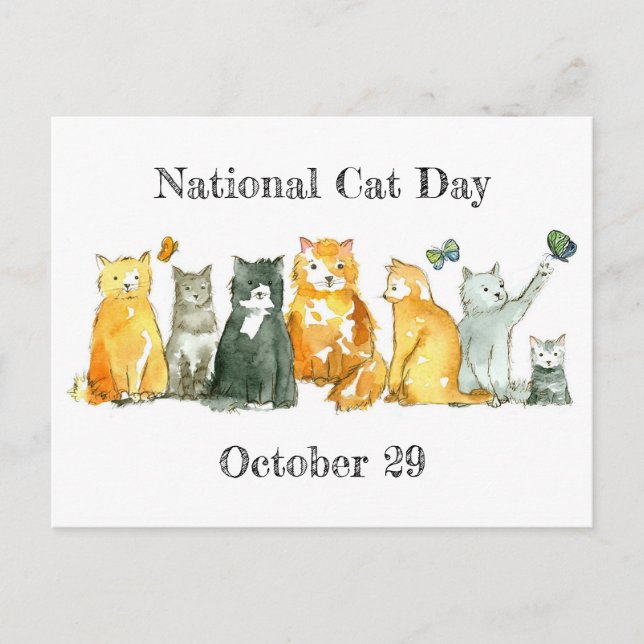 National Cat Day October 29 Tuxedo Calico Cat Postcard (Front)