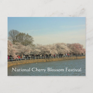 National Cherry Blossom Festival Washington DC 003 Postcard