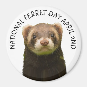 National Ferret Day April 2nd Holiday Magnet