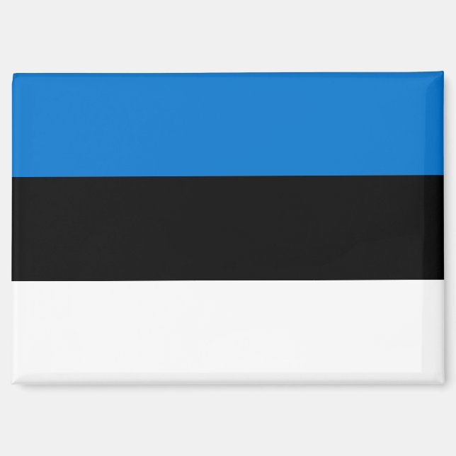 National Flag of Estonia Rectangle magnet  (Front)