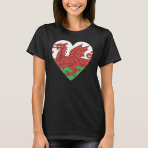 National Flag of Wales souvenir for men women 2 T-Shirt