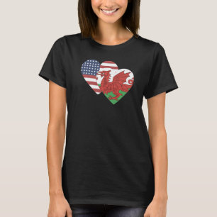 National Flag of Wales souvenir for men women T-Shirt